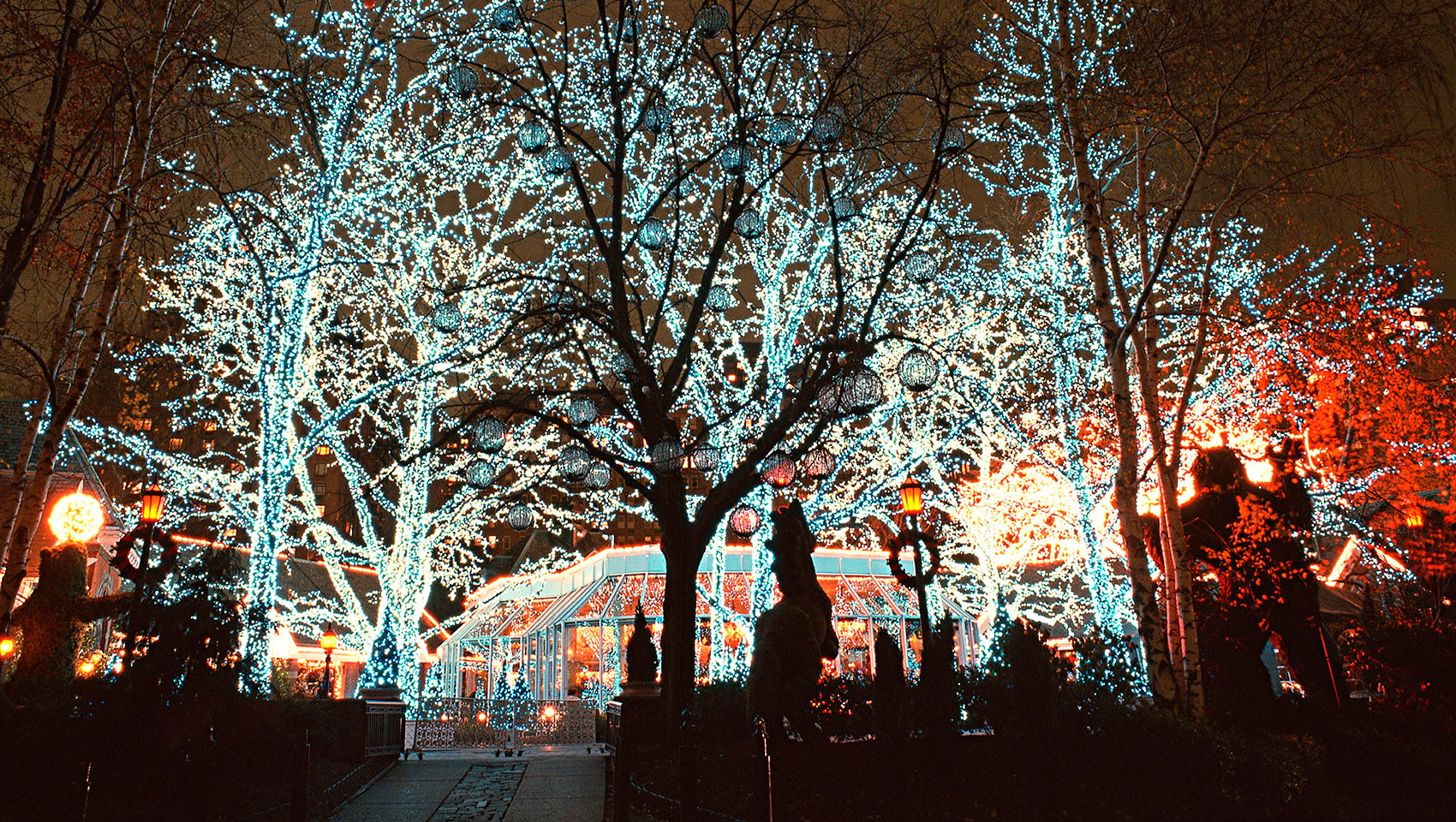 Holiday Lights in NYC
