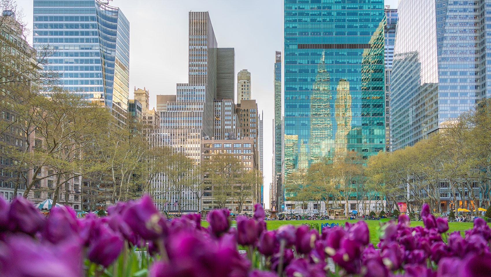 NYC highrises with purple flowers in the foreground