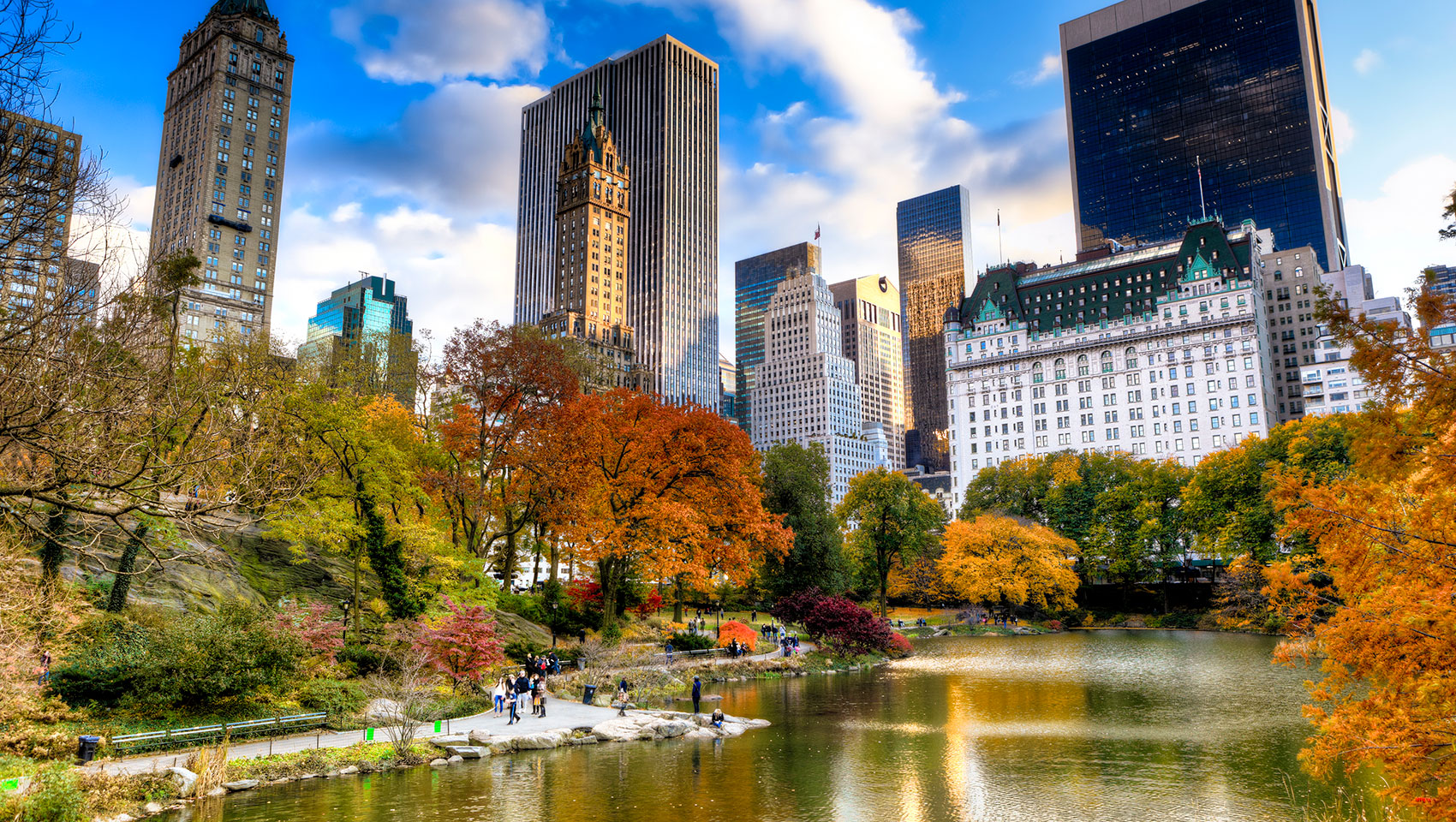 Central Park in Autumn