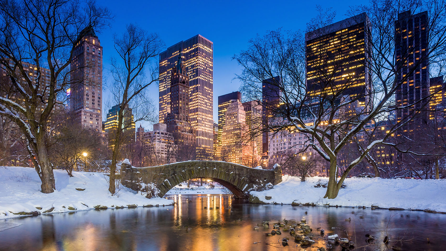 bridge in central park, winter